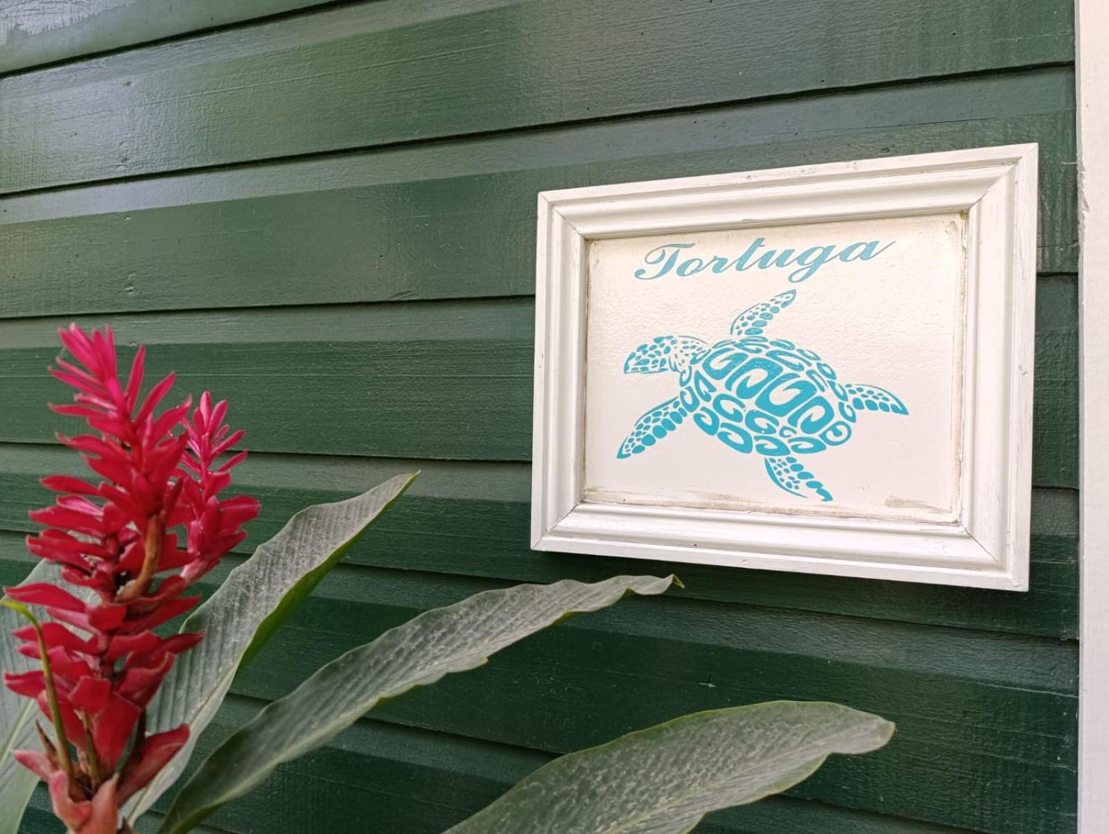 Ferienwohnung Santuarios Del Mar Bocas del Toro Exterior foto