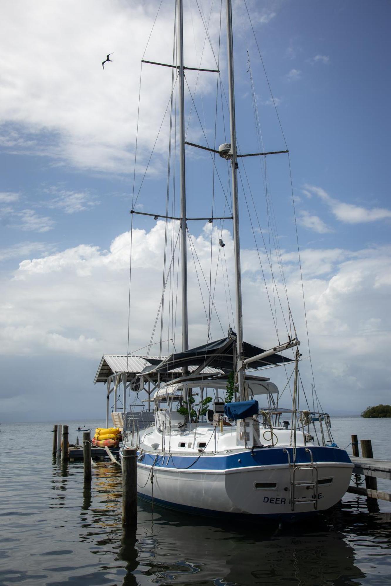 Ferienwohnung Santuarios Del Mar Bocas del Toro Exterior foto